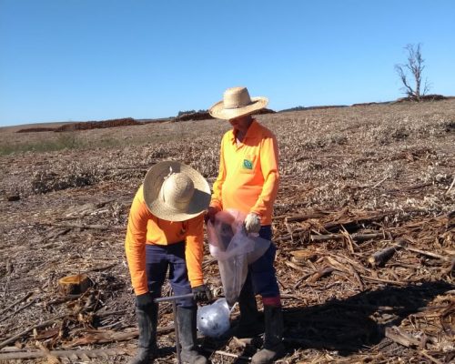 Coleta de solos Coleta de solos