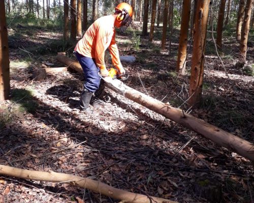 Cubagem de madeira Cubagem de madeira