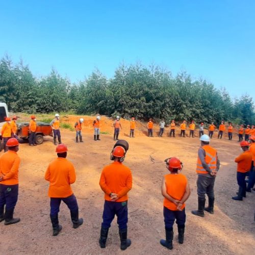 Durante a pandemia (2) semana de segurança Durante a pandemia (2) semana de segurança