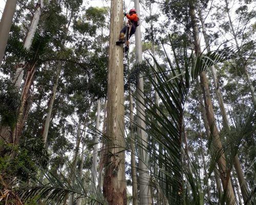 Escalada 3 Escalada 3