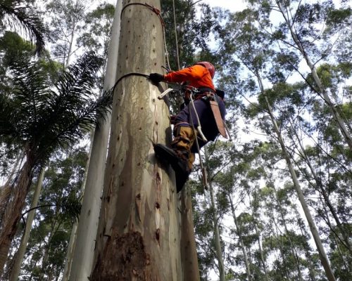 Escalada 4 Escalada 4