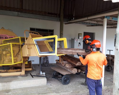 Picagem de madeira Picagem de madeira