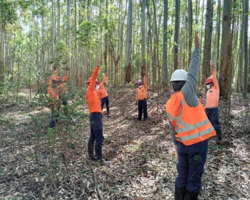 Politica e gestão Politica e gestão