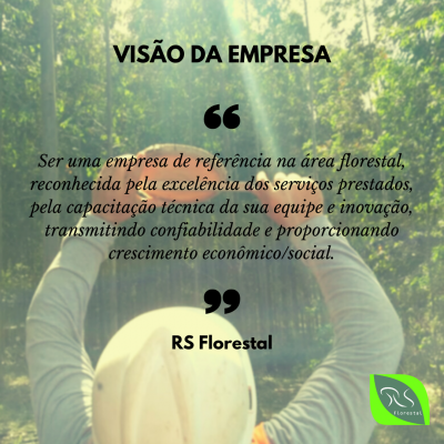 VISÃO DA EMPRESA VISÃO DA EMPRESA