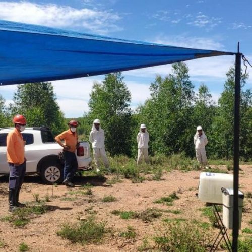 diálogo de segurança diálogo de segurança