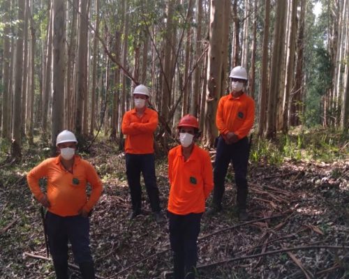 equipe inventário equipe inventário