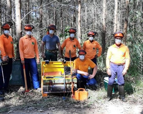 equipe pesquisa equipe pesquisa