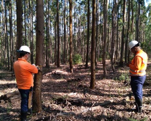 medição da circunferência (2) medição da circunferência (2)