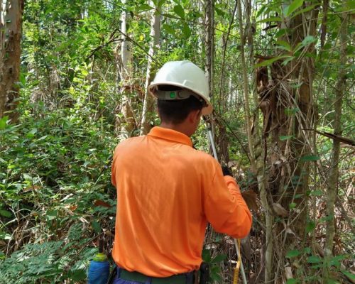 medição da circunferência (3) medição da circunferência (3)