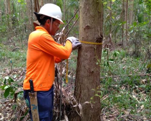 medição da circunferência medição da circunferência