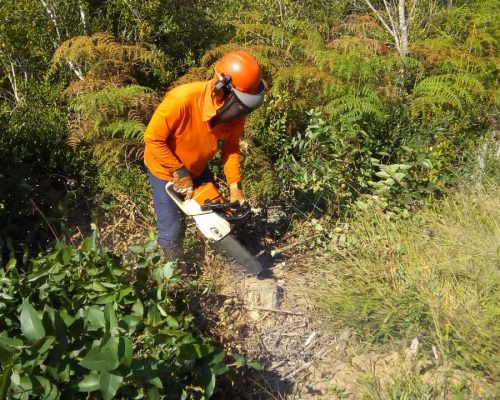 operador de motosserra