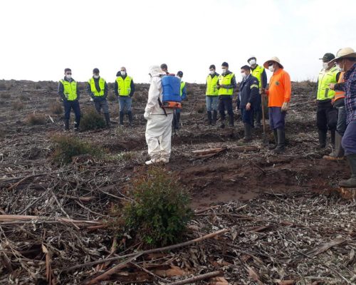 treinamento treinamento
