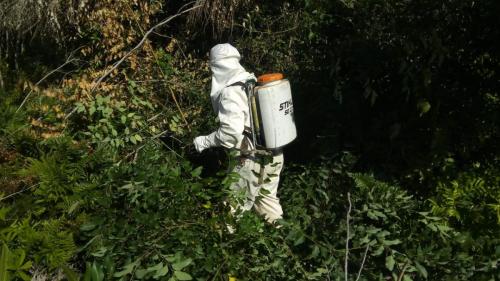 Aplicação de pesticida