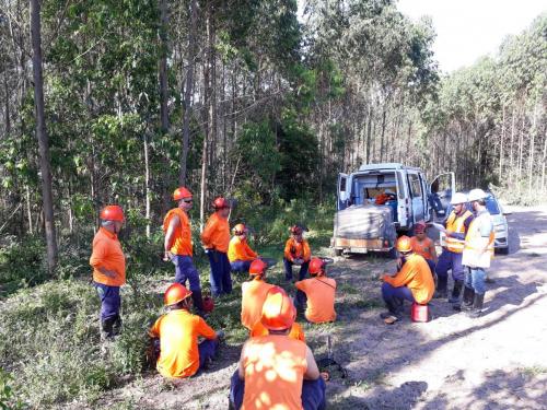 equipe silvicultura