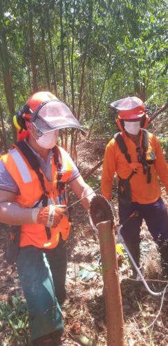 treinamento de afiação