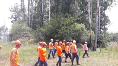 treinamento operacional